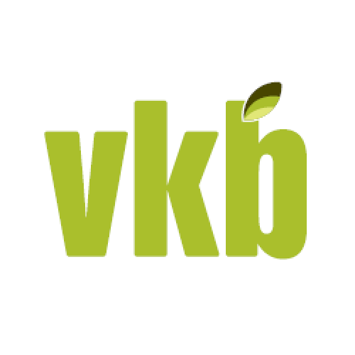 VKB Group logo
